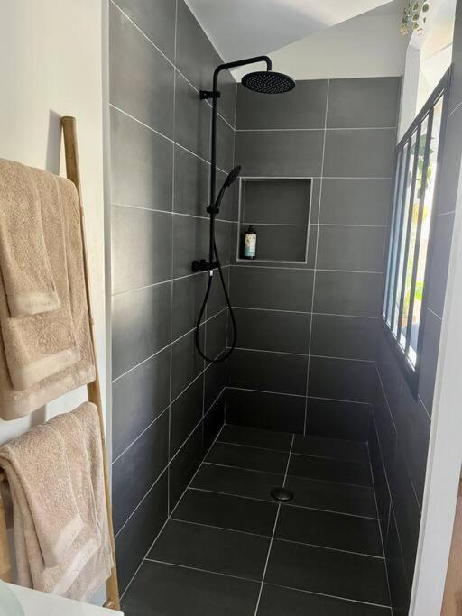 Appartement Glamour Tout Equipe Avec Balneo Et Sauna Nancy